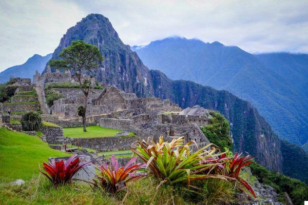 Machu Picchu and Inca Trail (Peru): how to get there, tickets, costs