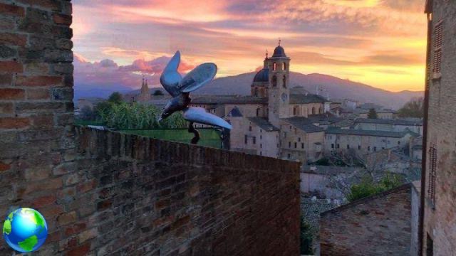 What to see in Urbino in one day