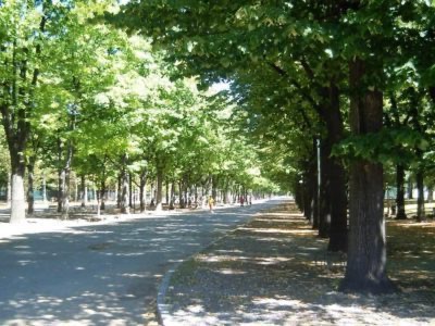 Cidade verde de Torino: 3 parques para experimentar