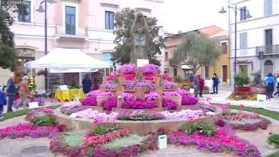 Visita Olbia y su centro histórico