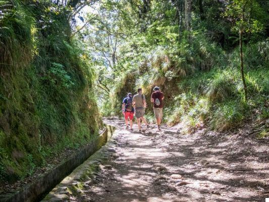Madeira: o que ver na ilha da eterna primavera
