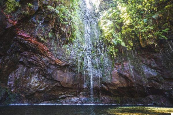 Madeira: what to see on the island of eternal spring