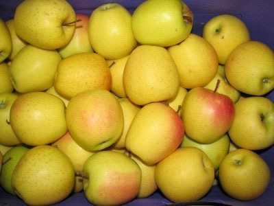 Comprar manzanas en Trentino, 