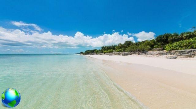 Turks and Caicos: 5 raisons de visiter l'archipel