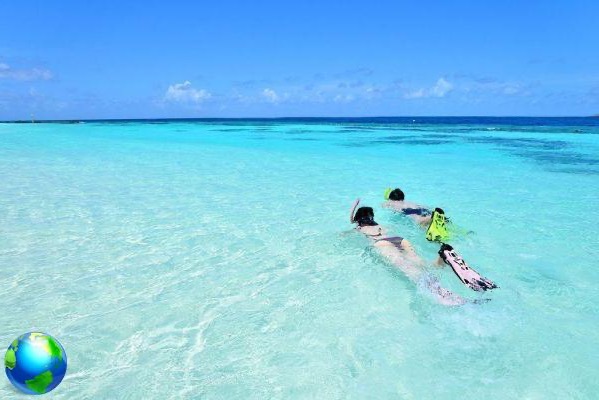 Islas Turcas y Caicos: 5 razones para ver el archipiélago