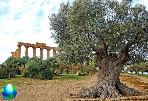 Agrigento and the Valley of the Temples, what to see