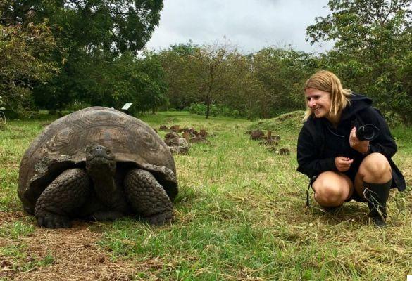 Voyage en Équateur et Galapagos : que voir et autres conseils
