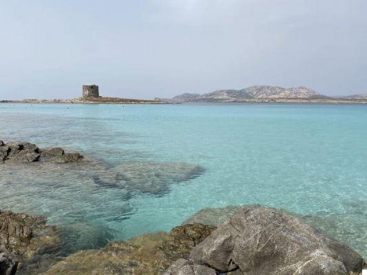 What to see in Alghero: the beaches, where to sleep, where to eat