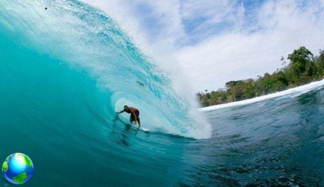 Warm Christmas: where to go with the surfboard