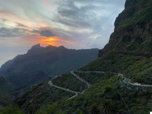 What to see in Tenerife South: 10 places not to be missed