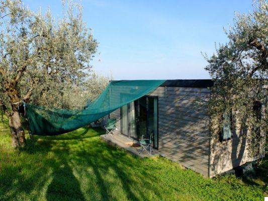 My first glamping among the olive trees of Umbria