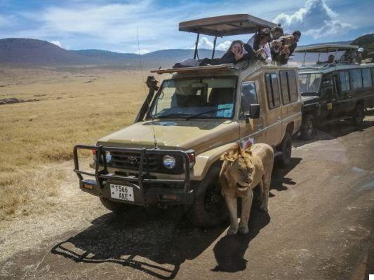 Travel to Tanzania: all the tips on how to organize it