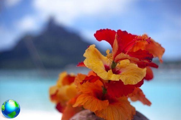 7 jours au paradis: voyage en Polynésie française