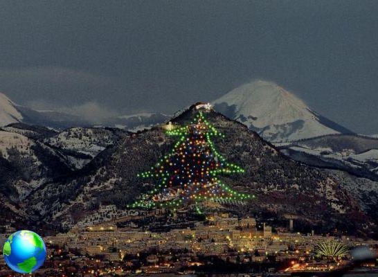 Christmas in Gubbio with the record tree: what to see in Umbria