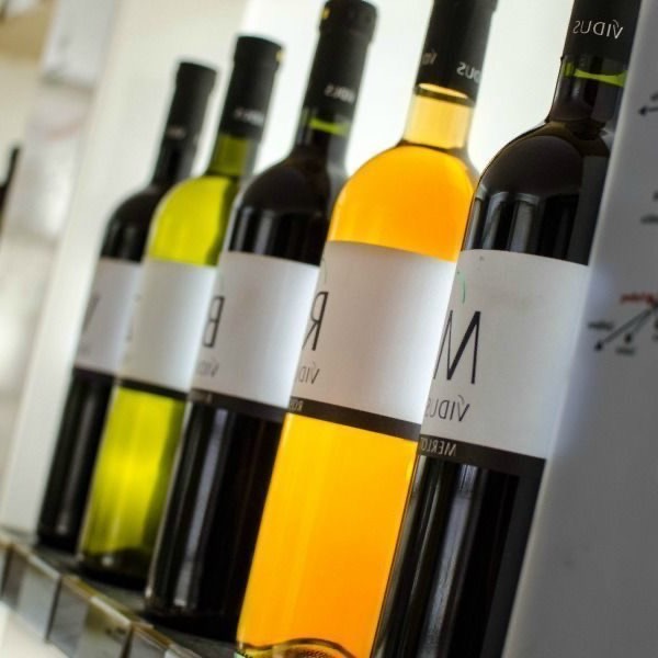 Os melhores vinhos da Eslovênia, passeios em vinícolas