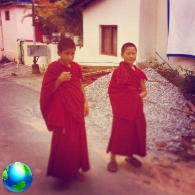 Bylakuppe: the city of Tibetan monks in India