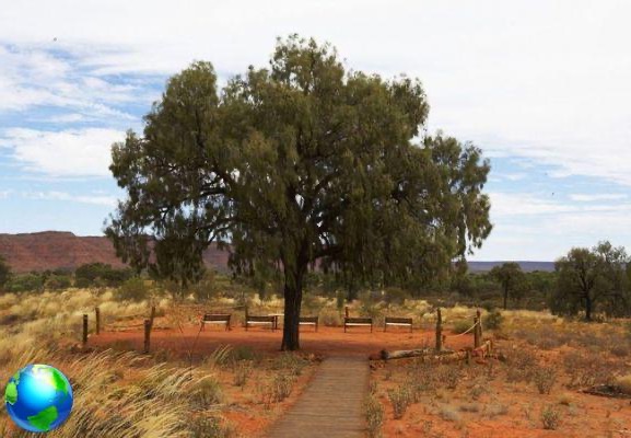 Australia, sleeping in the Outback: Kings Canyon Resort