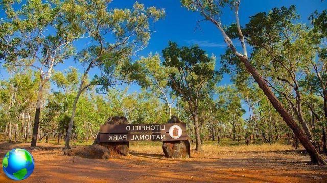 Litchfield National Park, Australia, Northern Territory