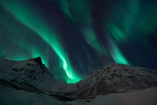 5 days in Norway to discover the Northern Lights: what to know and itinerary