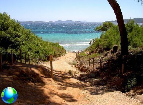 Joyau de la Côte d'Azur: l'île de Porquerolles