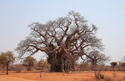 Zimbabwe and its climate, here's when to go