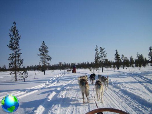 Hágalo usted mismo Laponia en invierno, vuelo, tren y alojamiento