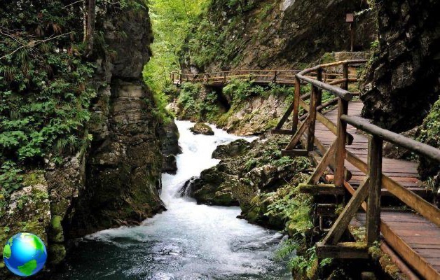 Seis cosas que hacer en el lago Bled