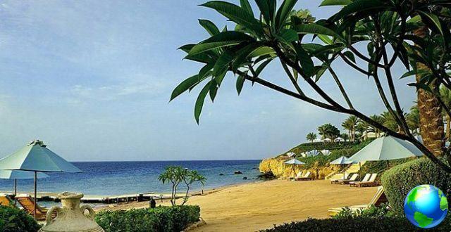 Información y consejos sobre vacaciones en Sharm el Sheik
