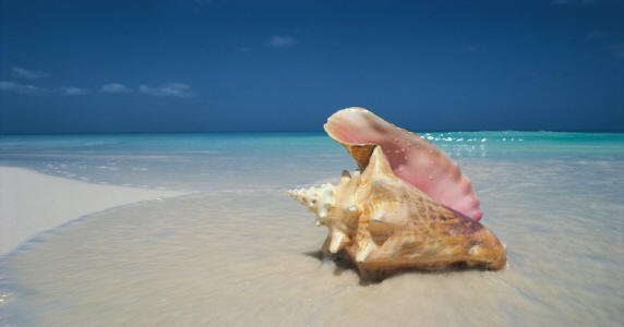 Informações e conselhos sobre férias em Sharm el Sheik