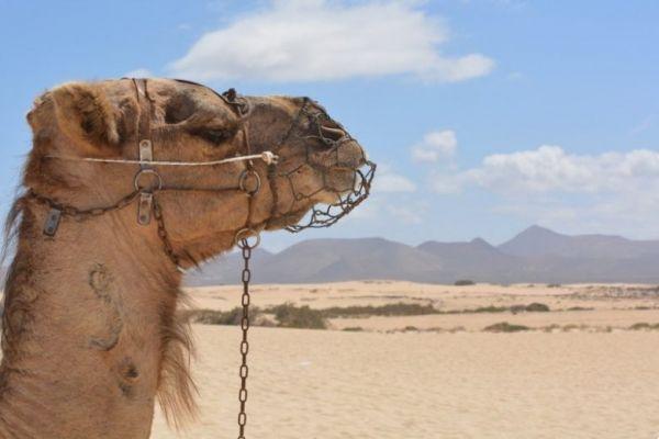 Informações e conselhos sobre férias em Sharm el Sheik