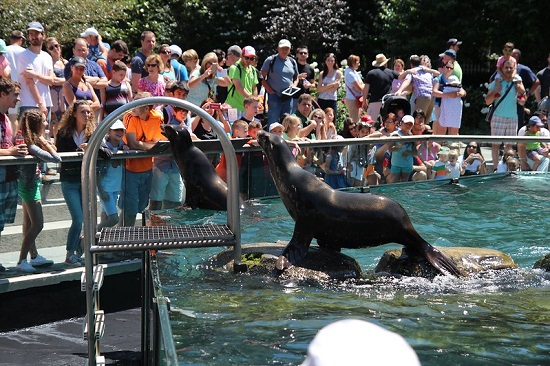 Zoo Central Park (Nueva York): horarios de apertura, precios de las entradas y cómo llegar
