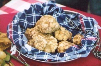 47th national truffle fair of Acqualagna
