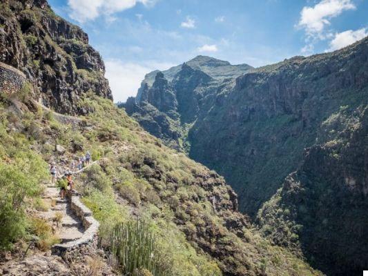 The 10 most beautiful treks in Tenerife