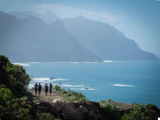 Las 10 caminatas más bonitas de Tenerife