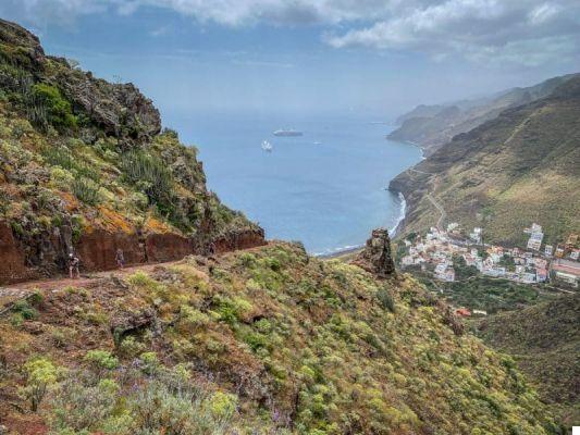 Las 10 caminatas más bonitas de Tenerife