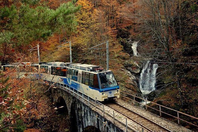 Foliage train in Piedmont, nature is calling