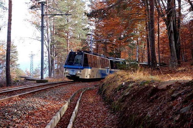 Tren de follaje en Piamonte, la naturaleza llama