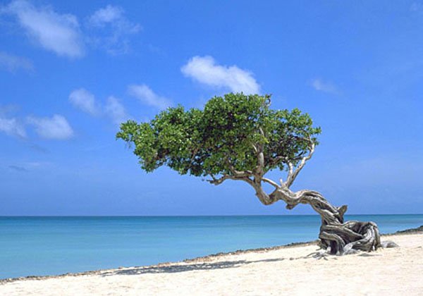 Aruba Caribbean Island Vacations