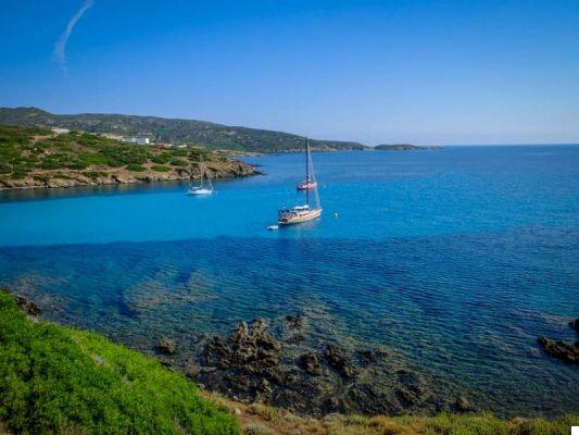 Asinara: what to see, how to get around and how to get to this Sardinian paradise.