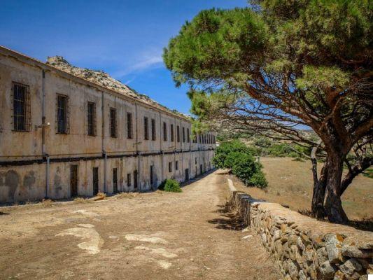 Asinara: what to see, how to get around and how to get to this Sardinian paradise.