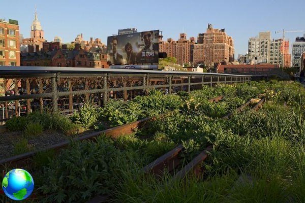 High Line Park, a park on the railroad in New York
