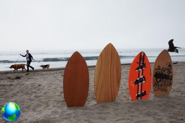 Viagem de surf na Califórnia, as ondas perfeitas