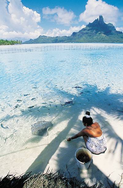 Polynesia itinerary tips to save