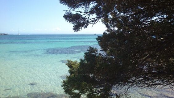 Asinara travel and itinerary
