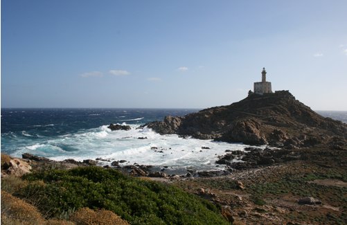 Viaje e itinerario de Asinara