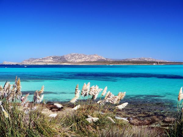 Viaje e itinerario de Asinara