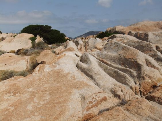 Asinara travel and itinerary