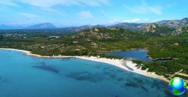 The 7 most beautiful beaches in Sardinia where it seems to be in the Caribbean