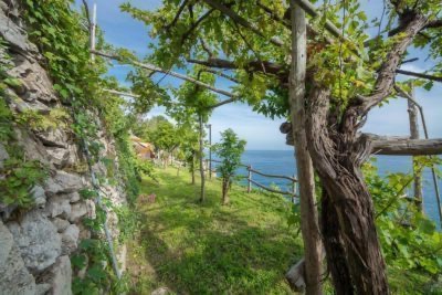 Cannaverde: glamping overlooking the sea of ​​Maiori