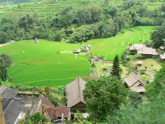 Bali Indonesia tips and information